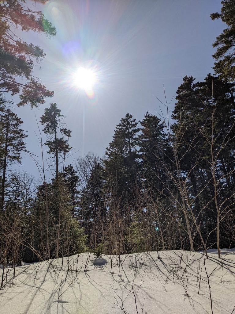 No description provided for: /2024/04-06/0408-solar-eclipse/_1/photo11.html