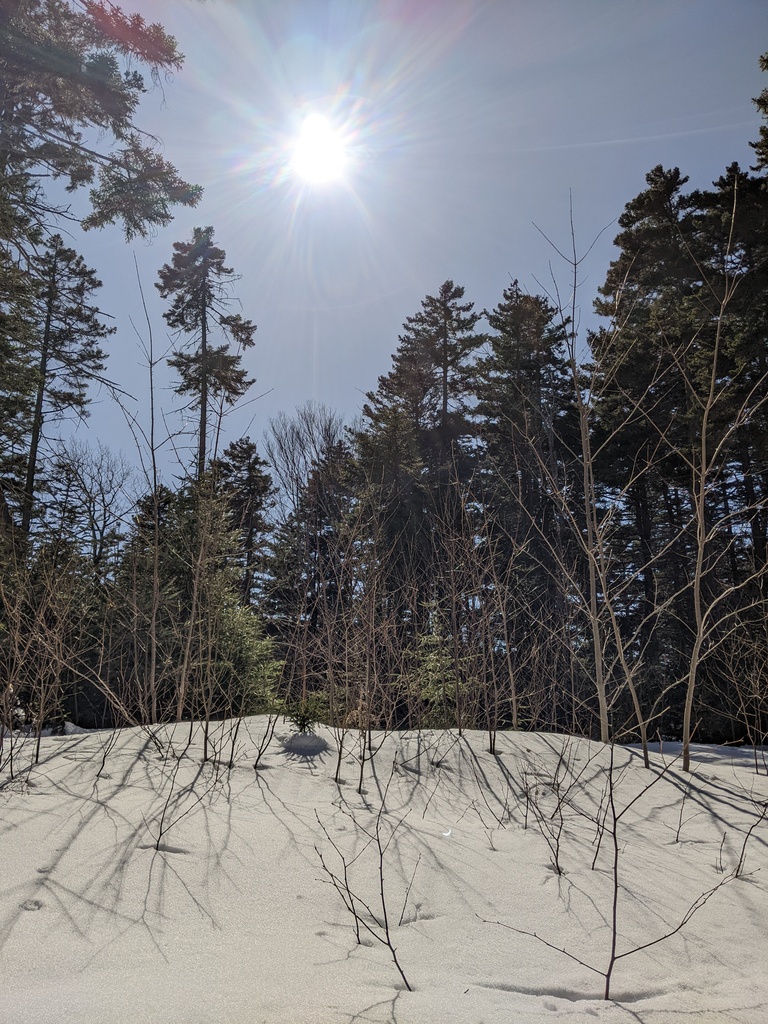 No description provided for: /2024/04-06/0408-solar-eclipse/_1/photo12.html