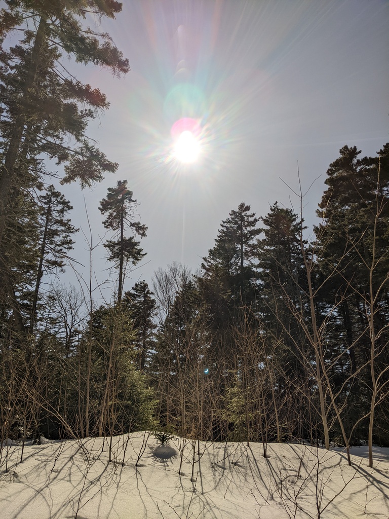 No description provided for: /2024/04-06/0408-solar-eclipse/_1/photo13.html