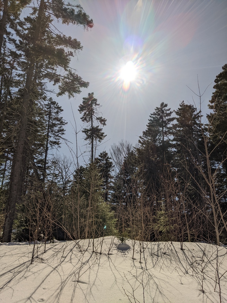 No description provided for: /2024/04-06/0408-solar-eclipse/_1/photo14.html