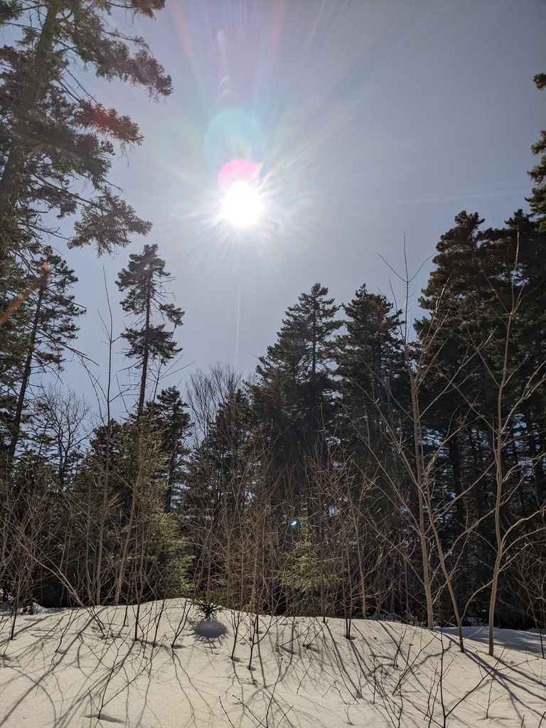 No description provided for: /2024/04-06/0408-solar-eclipse/_1/photo15.html