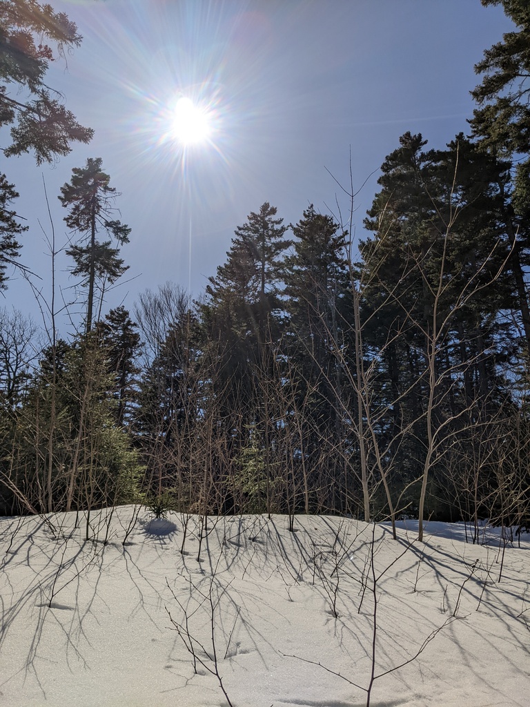 No description provided for: /2024/04-06/0408-solar-eclipse/_2/photo16.html