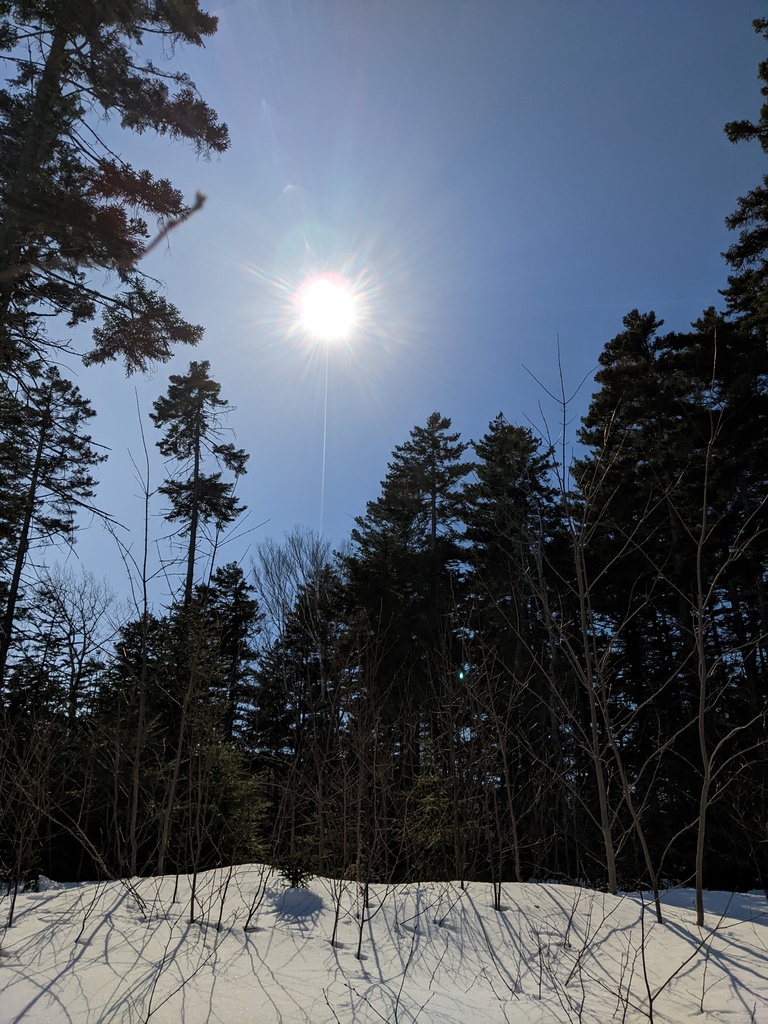 No description provided for: /2024/04-06/0408-solar-eclipse/_2/photo17.html