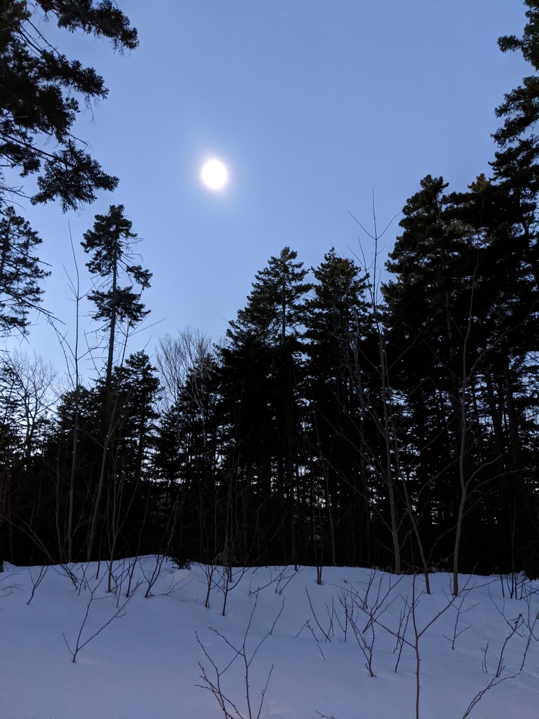 No description provided for: /2024/04-06/0408-solar-eclipse/_2/photo18.html