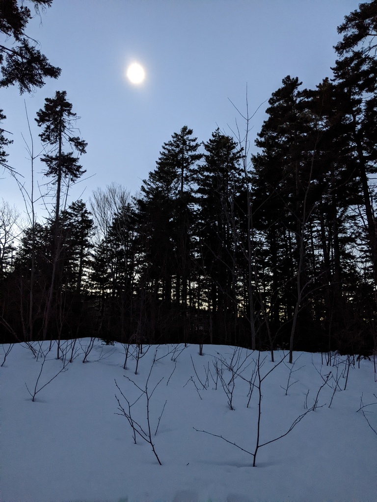 No description provided for: /2024/04-06/0408-solar-eclipse/_2/photo21.html