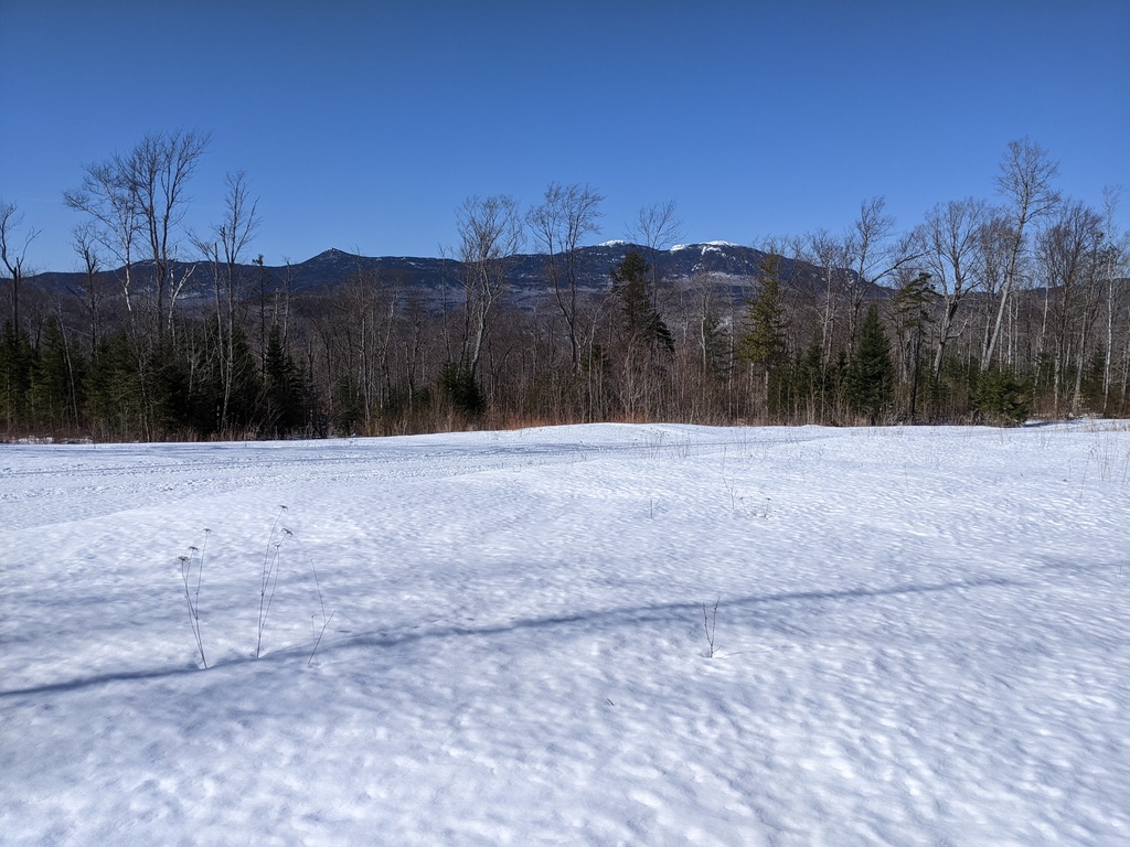 No description provided for: /2024/04-06/0408-solar-eclipse/_2/photo24.html