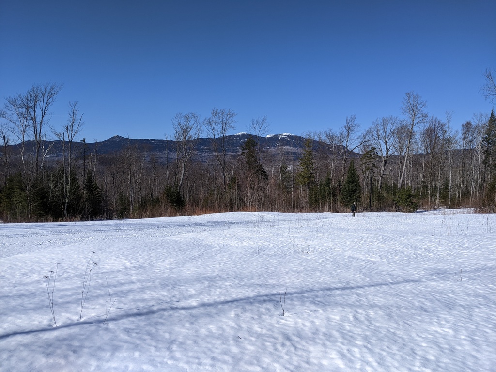 No description provided for: /2024/04-06/0408-solar-eclipse/_2/photo26.html