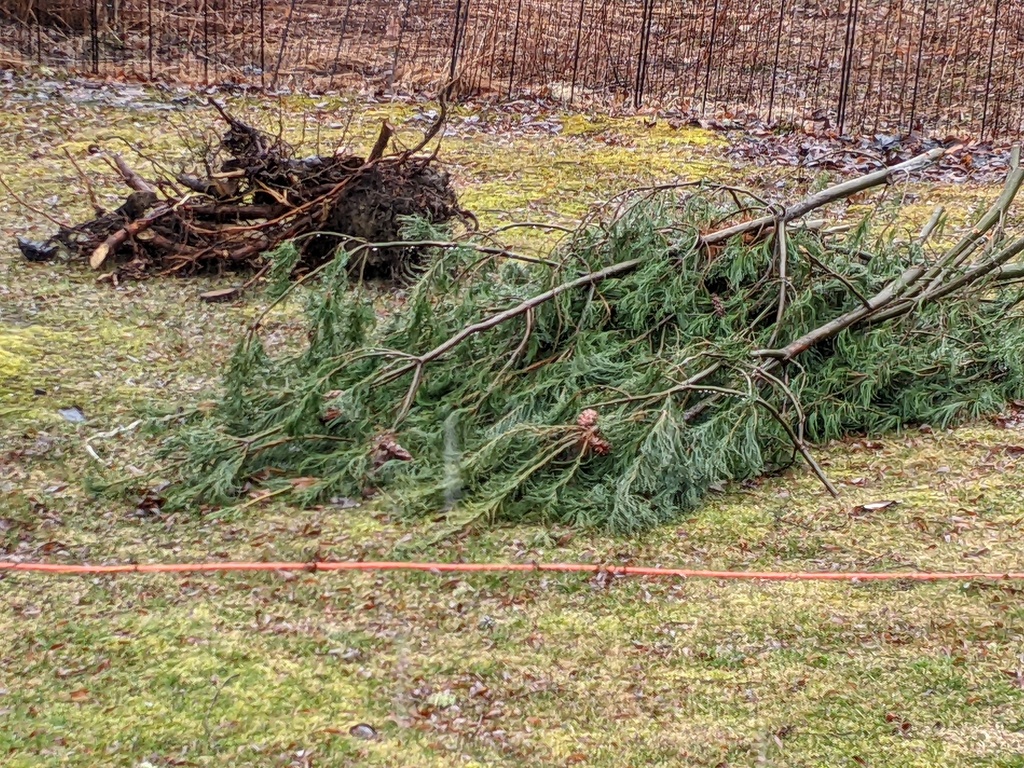 No description provided for: /2024/04-06/0411-mulch-piles/photo01.html