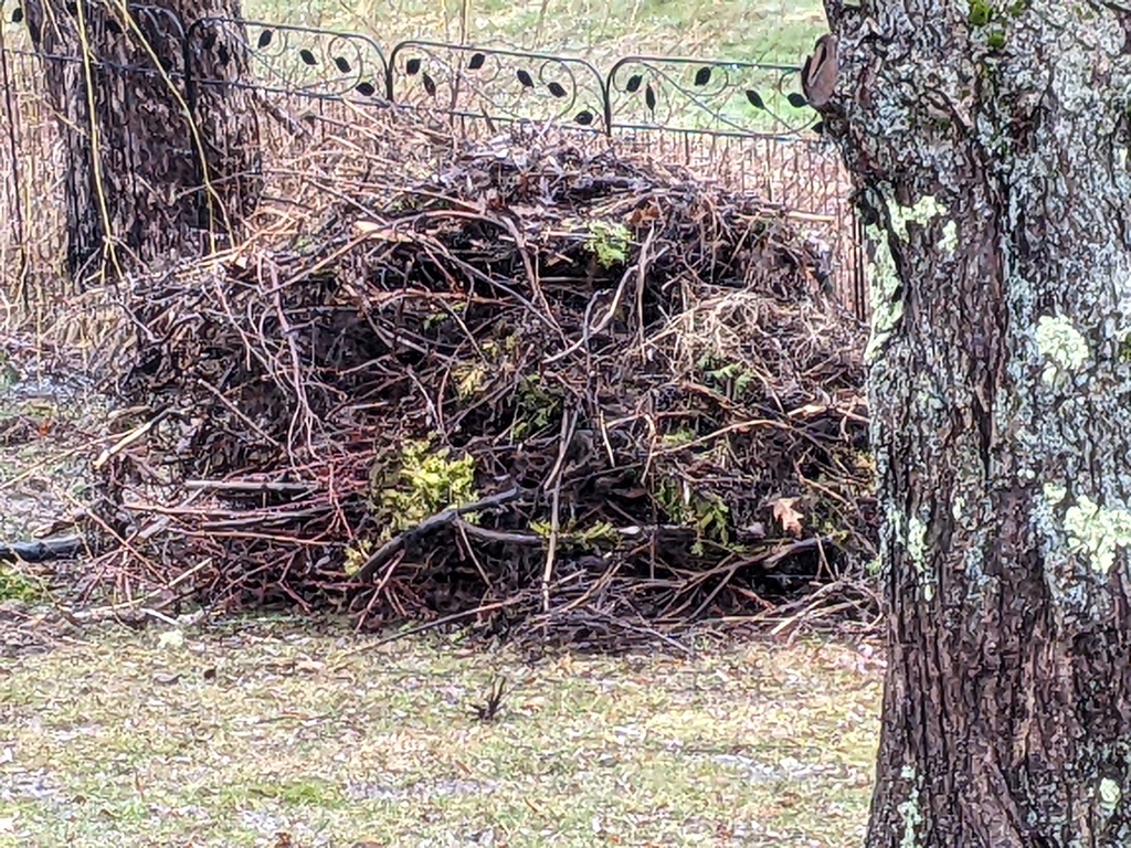 No description provided for: /2024/04-06/0411-mulch-piles/photo02.html