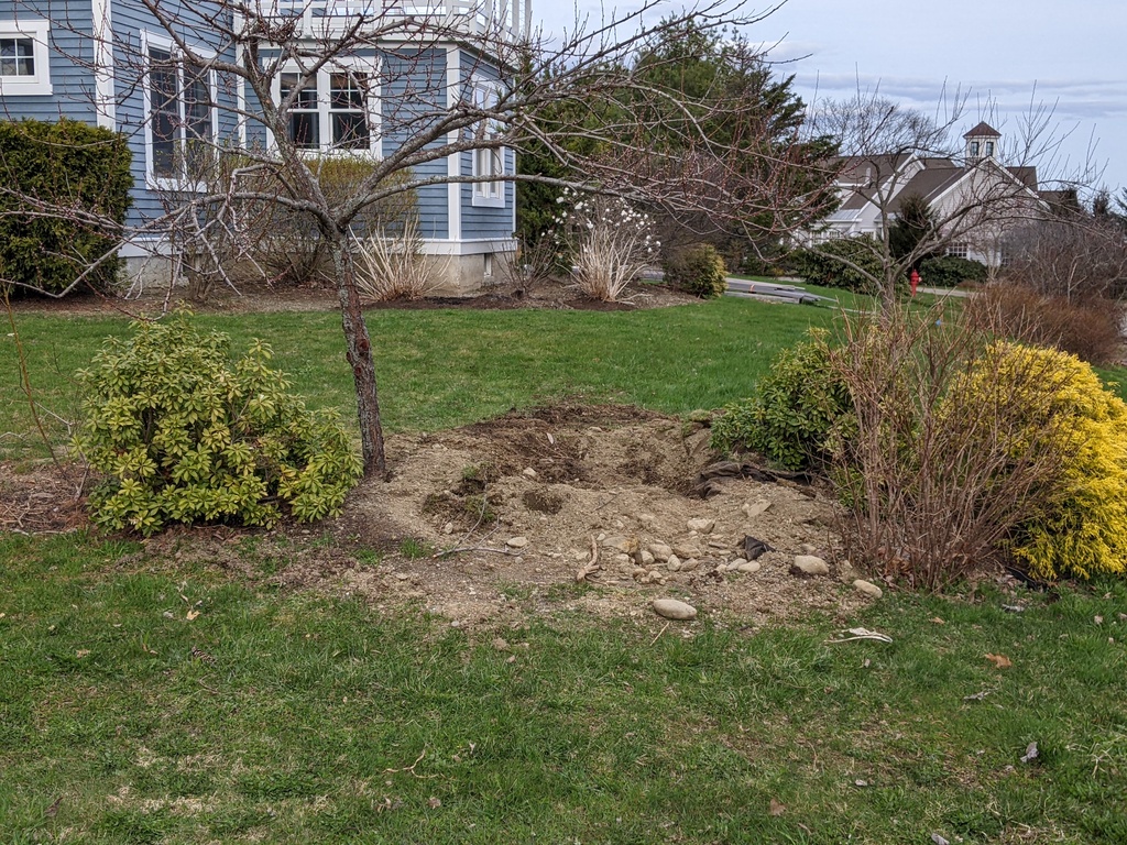 No description provided for: /2024/04-06/0421-limelight-move/photo05.html