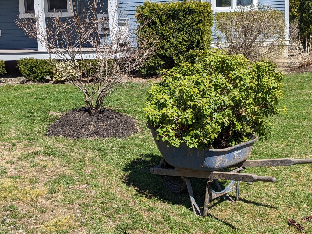 No description provided for: /2024/04-06/0423-more-transplant/photo01.html