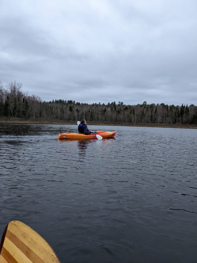 No description provided for: /2024/04-06/0428-mercer-bog-kayak/photo03.html