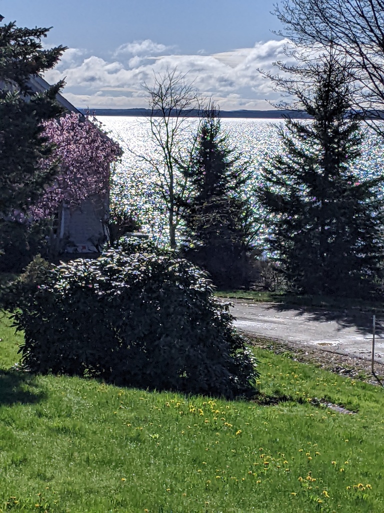 No description provided for: /2024/04-06/0503-bay-glimmer/photo01.html