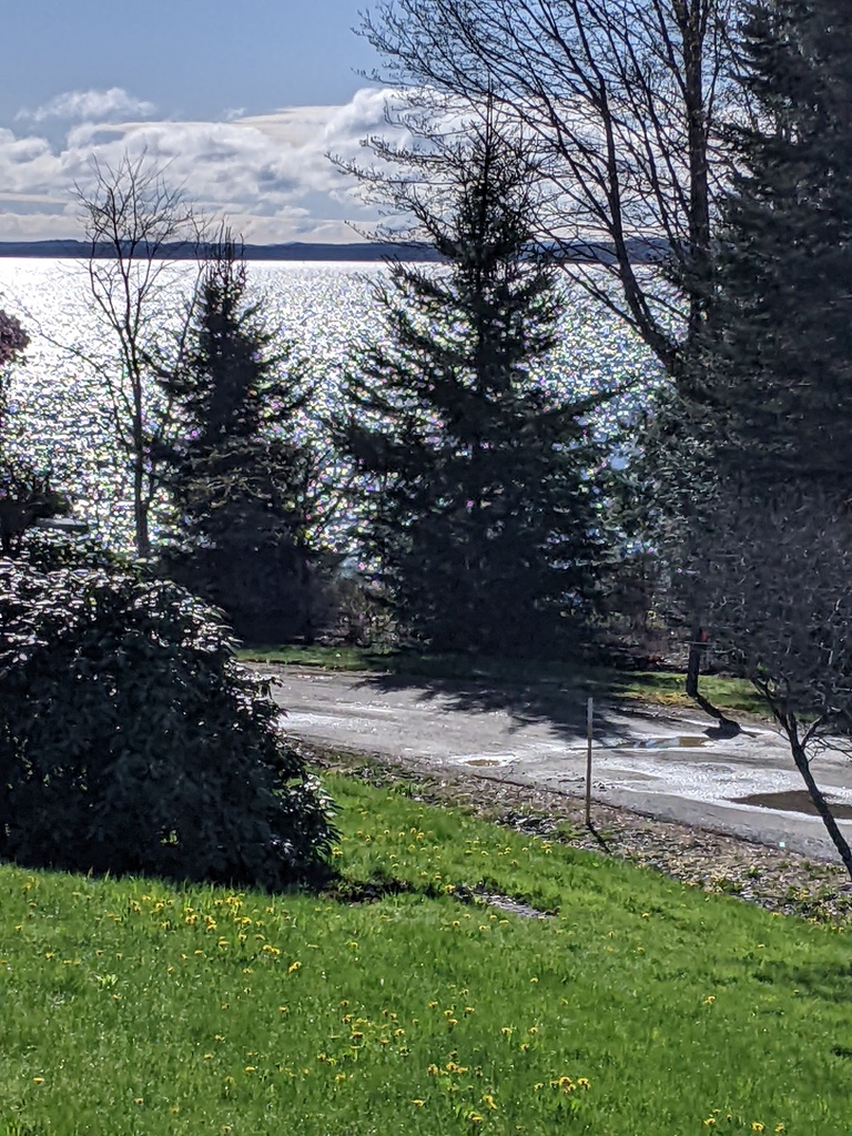 No description provided for: /2024/04-06/0503-bay-glimmer/photo02.html