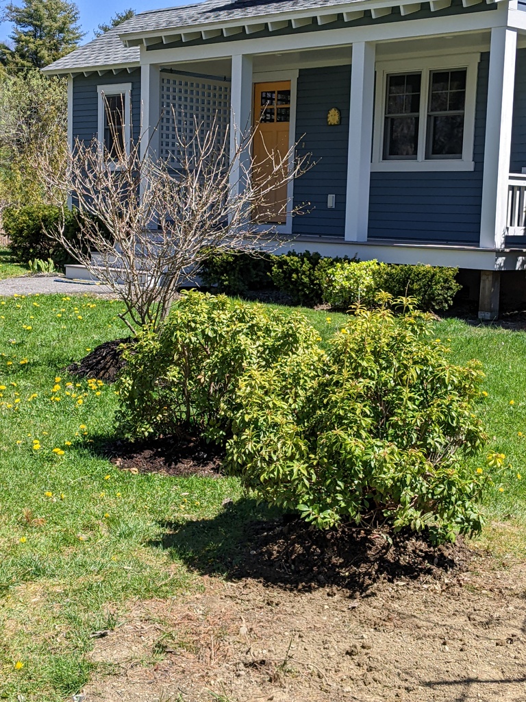 No description provided for: /2024/04-06/0507-transplants/photo01.html