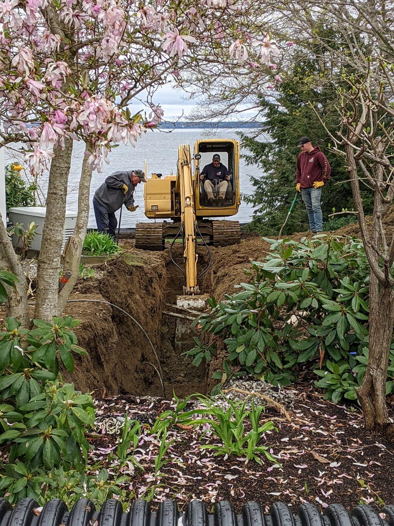 No description provided for: /2024/04-06/0509-drainage+revetment/photo02.html