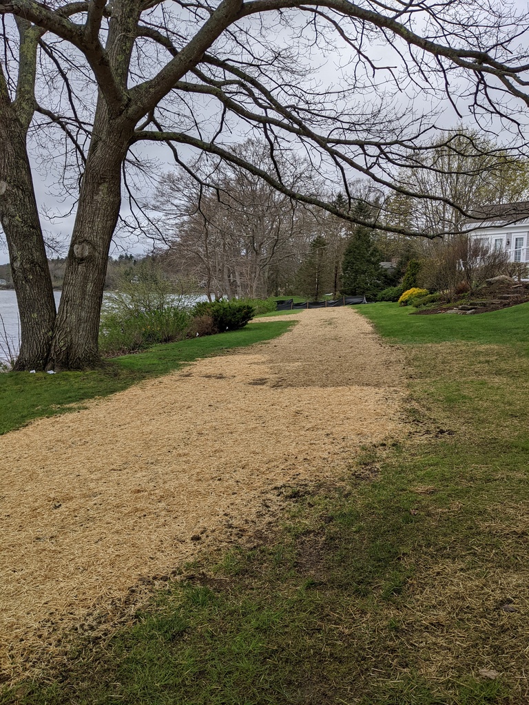 No description provided for: /2024/04-06/0509-drainage+revetment/photo07.html