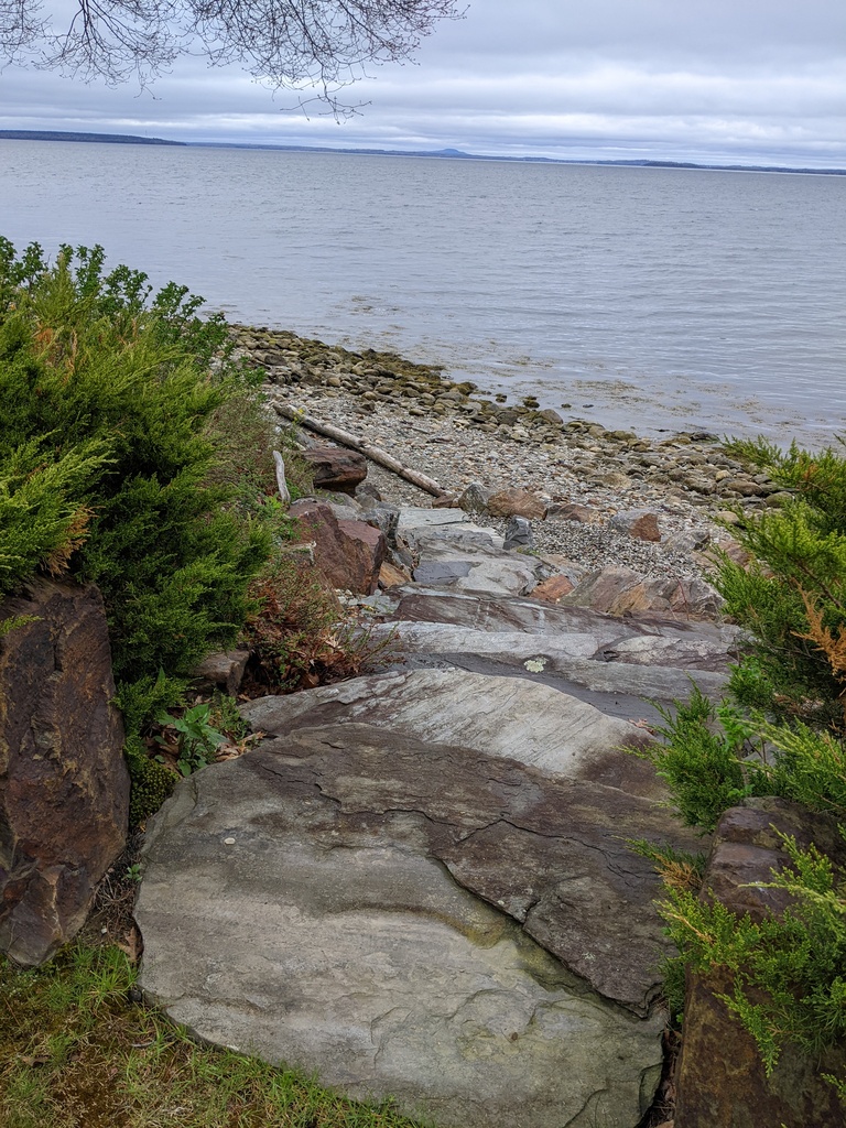 No description provided for: /2024/04-06/0509-drainage+revetment/photo08.html