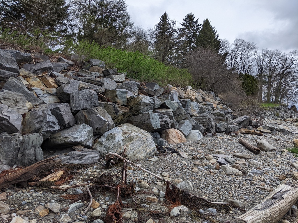 No description provided for: /2024/04-06/0509-drainage+revetment/photo09.html