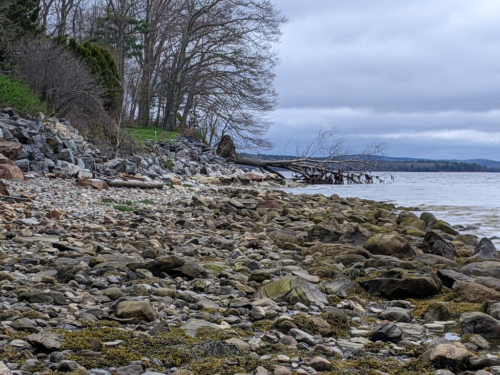 No description provided for: /2024/04-06/0509-drainage+revetment/photo18.html