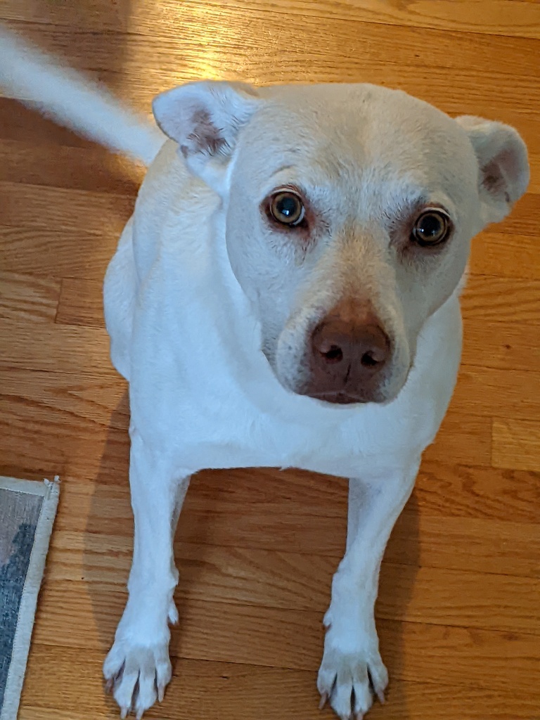 No description provided for: /2024/04-06/0515-lily/photo01.html