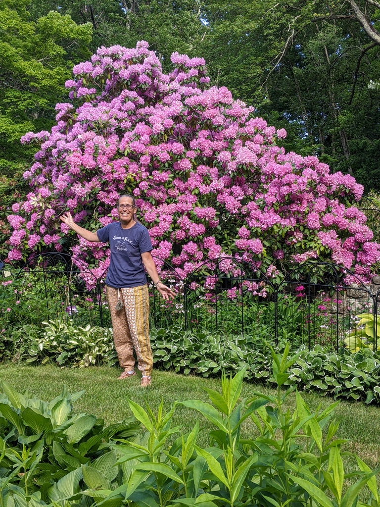 No description provided for: /2024/04-06/0528-joann-rhodie/photo01.html