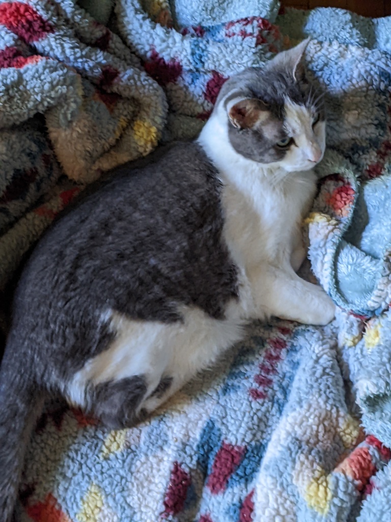 No description provided for: /2024/04-06/0528-sphinx/photo01.html