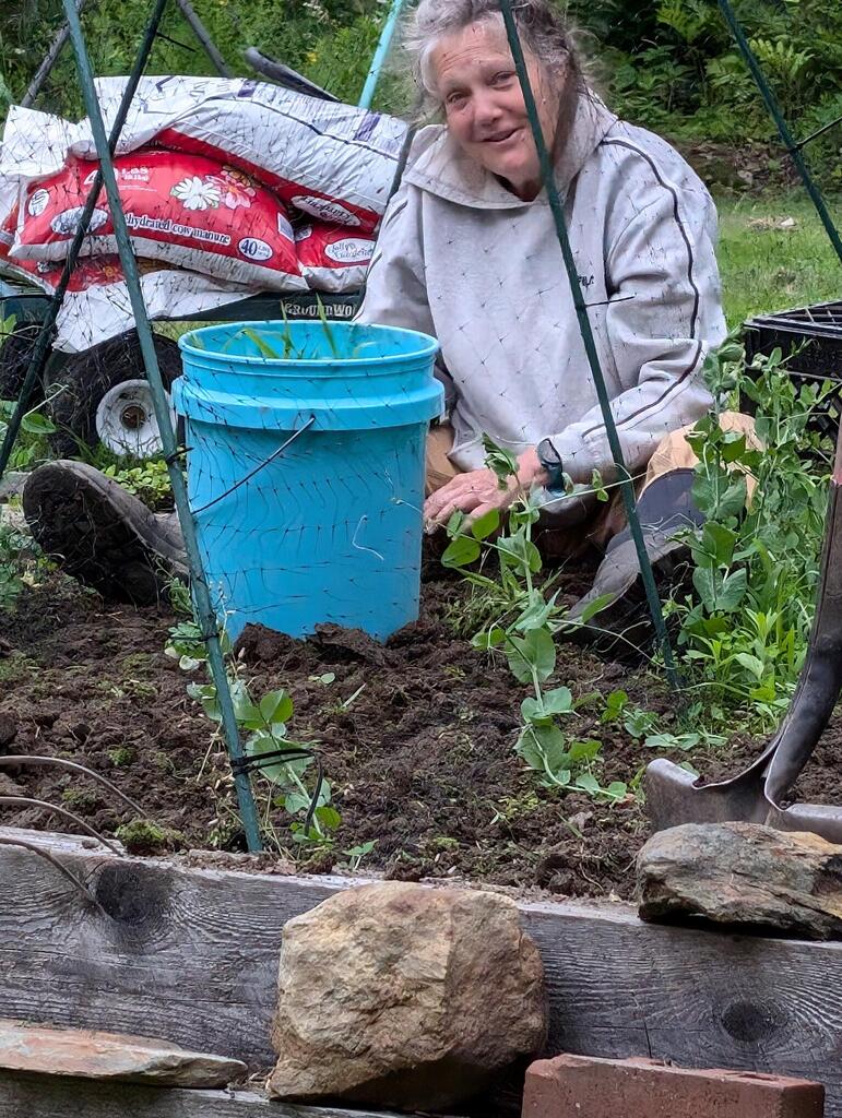 No description provided for: /2024/04-06/0629-sandy-garden/photo01.html