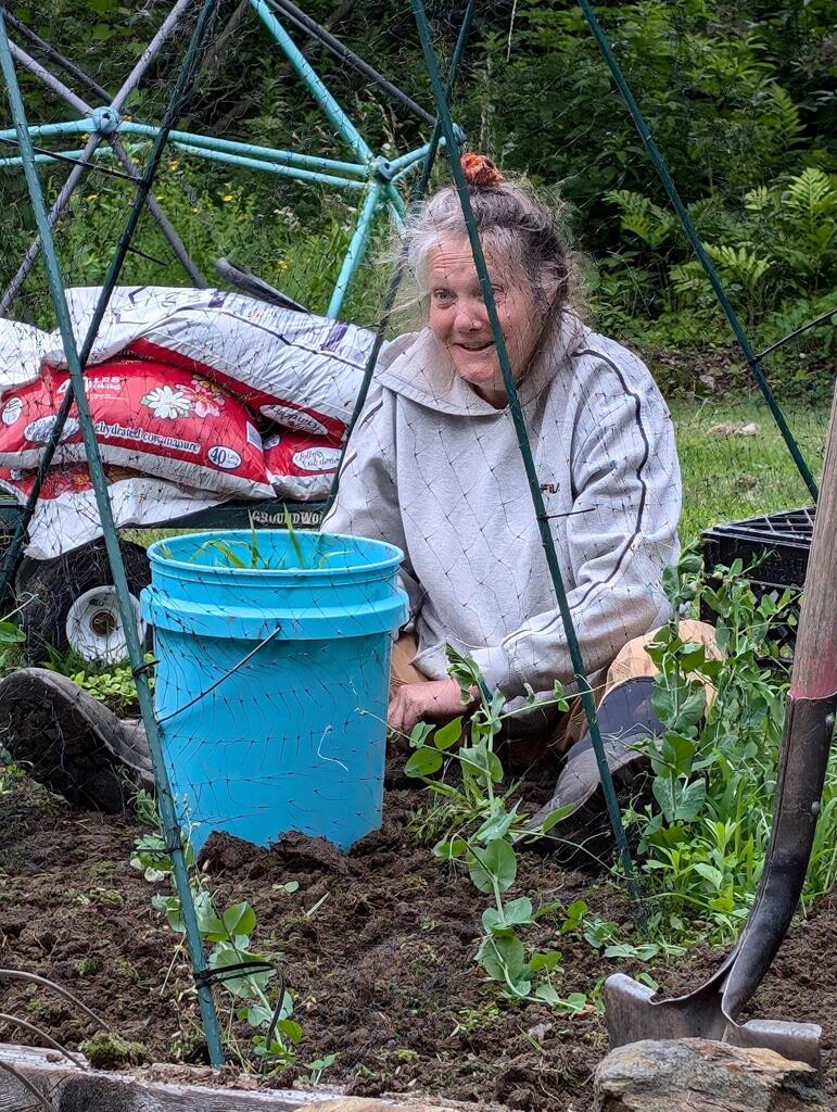 No description provided for: /2024/04-06/0629-sandy-garden/photo02.html