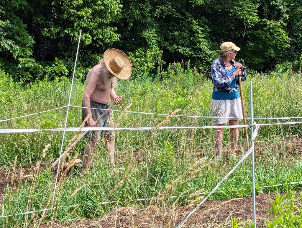 No description provided for: /2024/04-06/0630-will+sandy/photo02.html