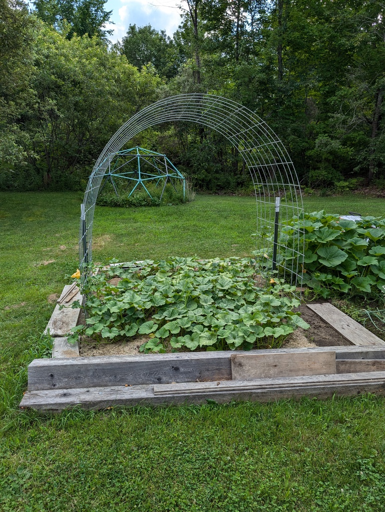 No description provided for: /2024/07-09/0712-sandy-garden/photo02.html