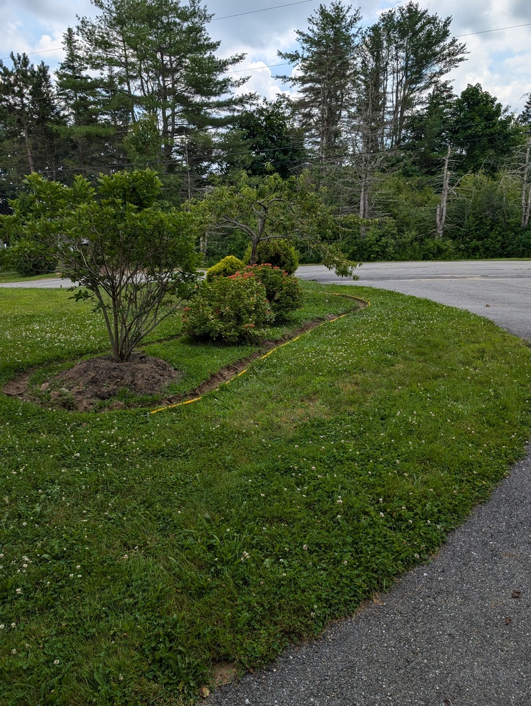 No description provided for: /2024/07-09/0716-plant-border/photo01.html