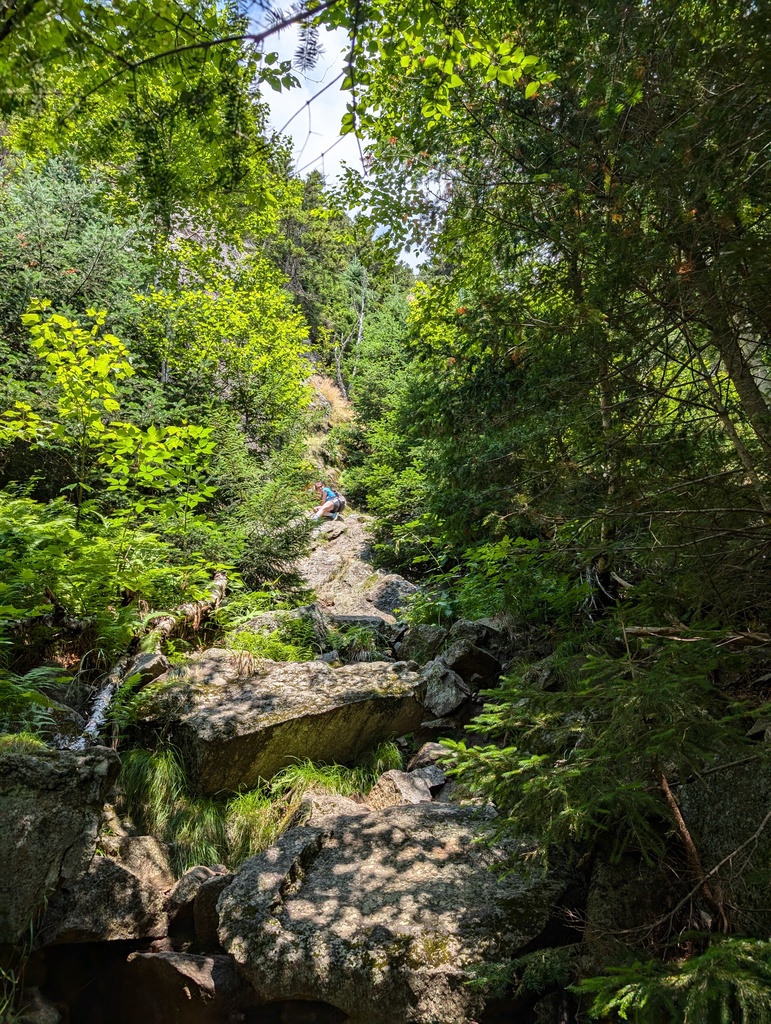 No description provided for: /2024/07-09/0717-erin-at-tumbledown/photo05.html