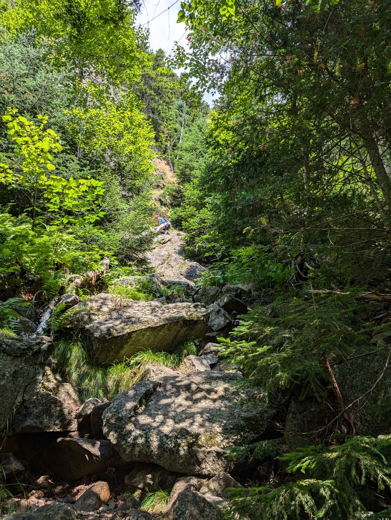 No description provided for: /2024/07-09/0717-erin-at-tumbledown/photo06.html