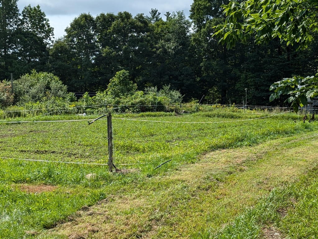 No description provided for: /2024/07-09/0730-wills-farm/photo05.html