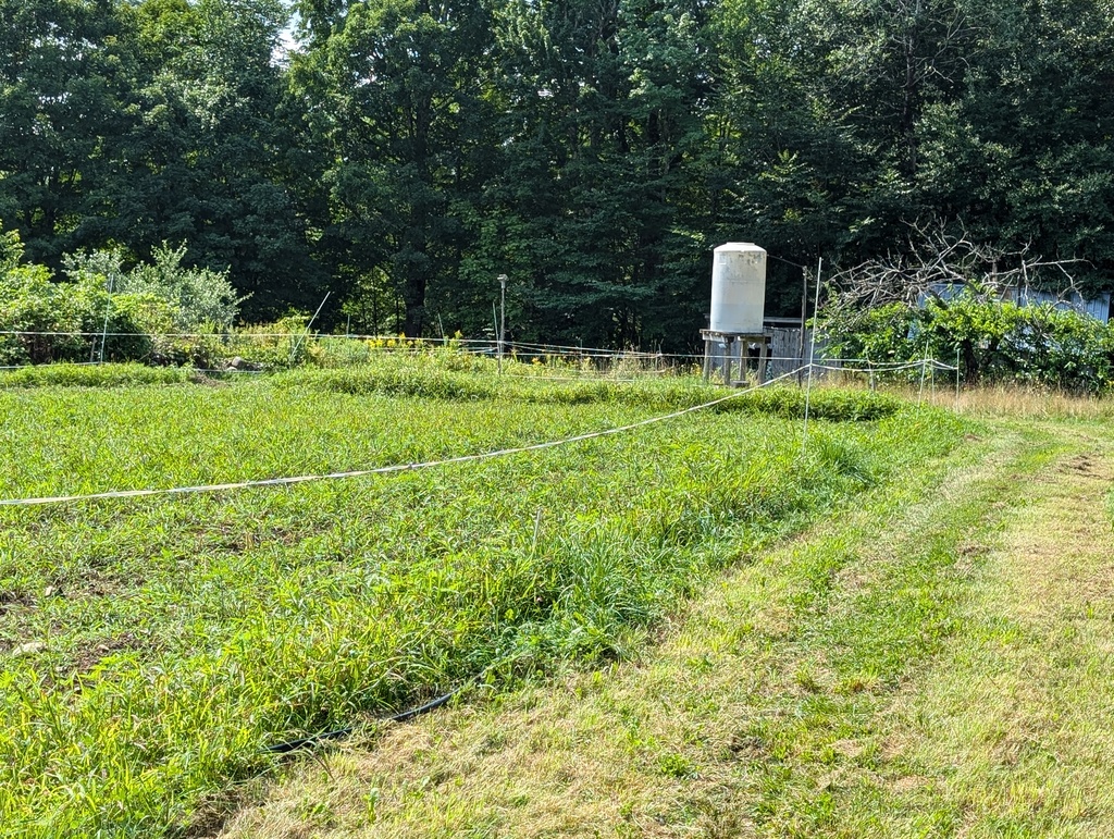 No description provided for: /2024/07-09/0730-wills-farm/photo06.html