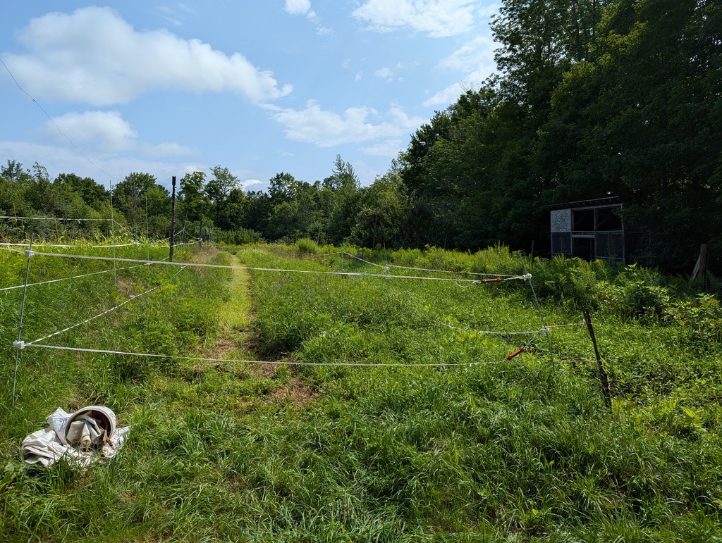 No description provided for: /2024/07-09/0730-wills-farm/photo08.html