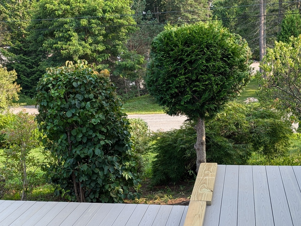 No description provided for: /2024/07-09/0813-landscape/photo04.html