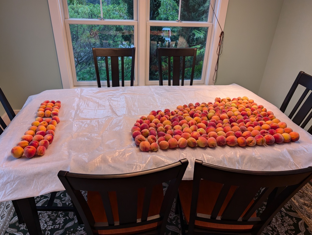 No description provided for: /2024/07-09/0818-peaches/photo01.html