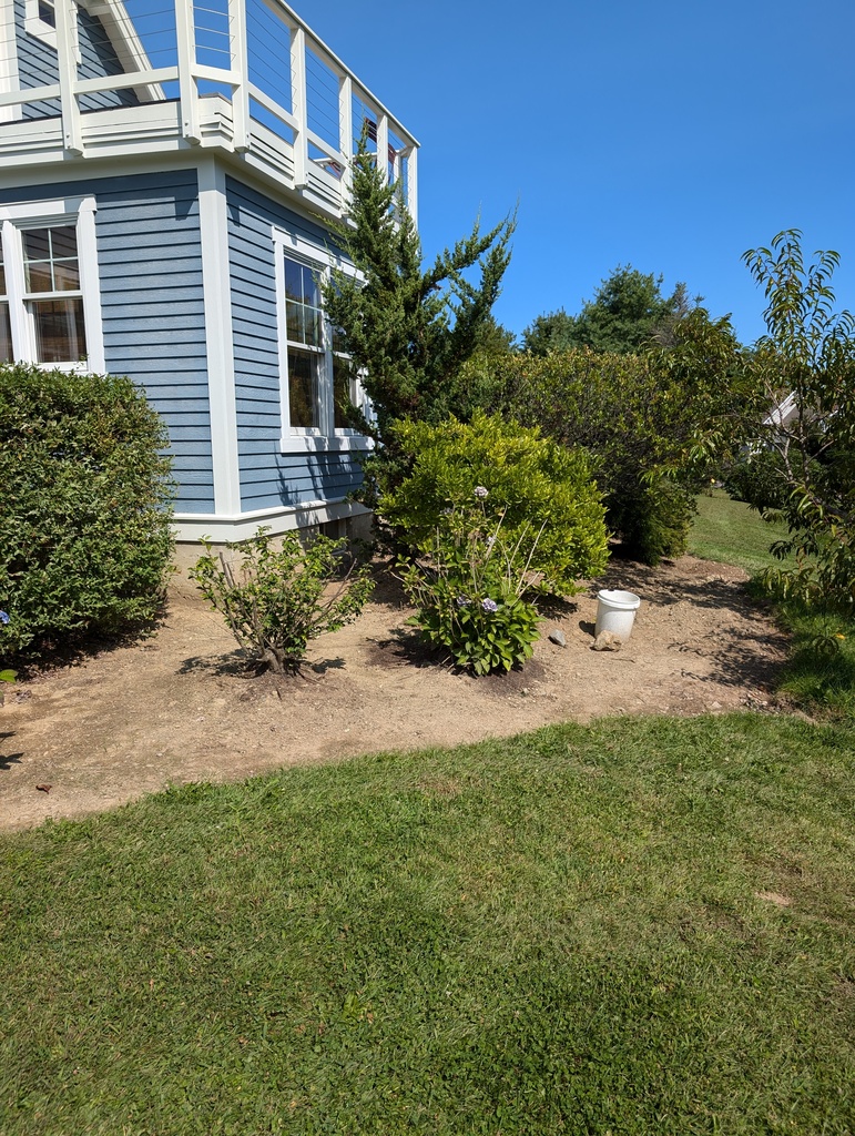 No description provided for: /2024/07-09/0830-landscape/photo01.html