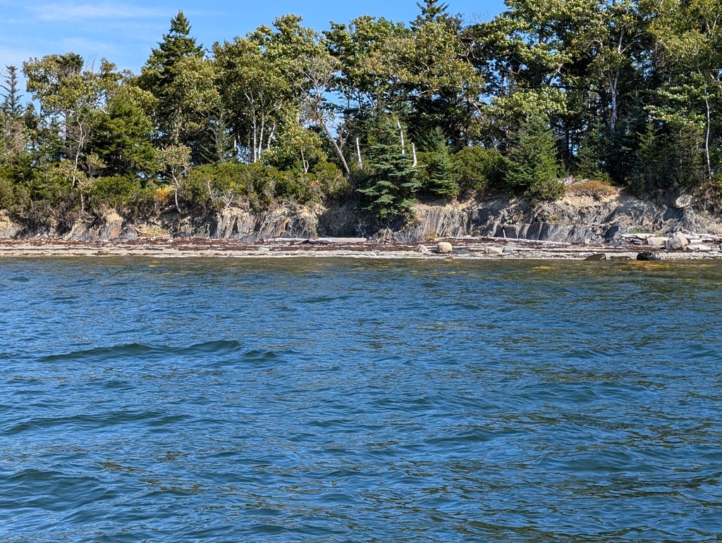 No description provided for: /2024/07-09/0909-turtle-head-sail/_1/photo01.html