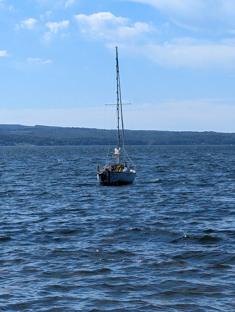 No description provided for: /2024/07-09/0909-turtle-head-sail/_1/photo05.html