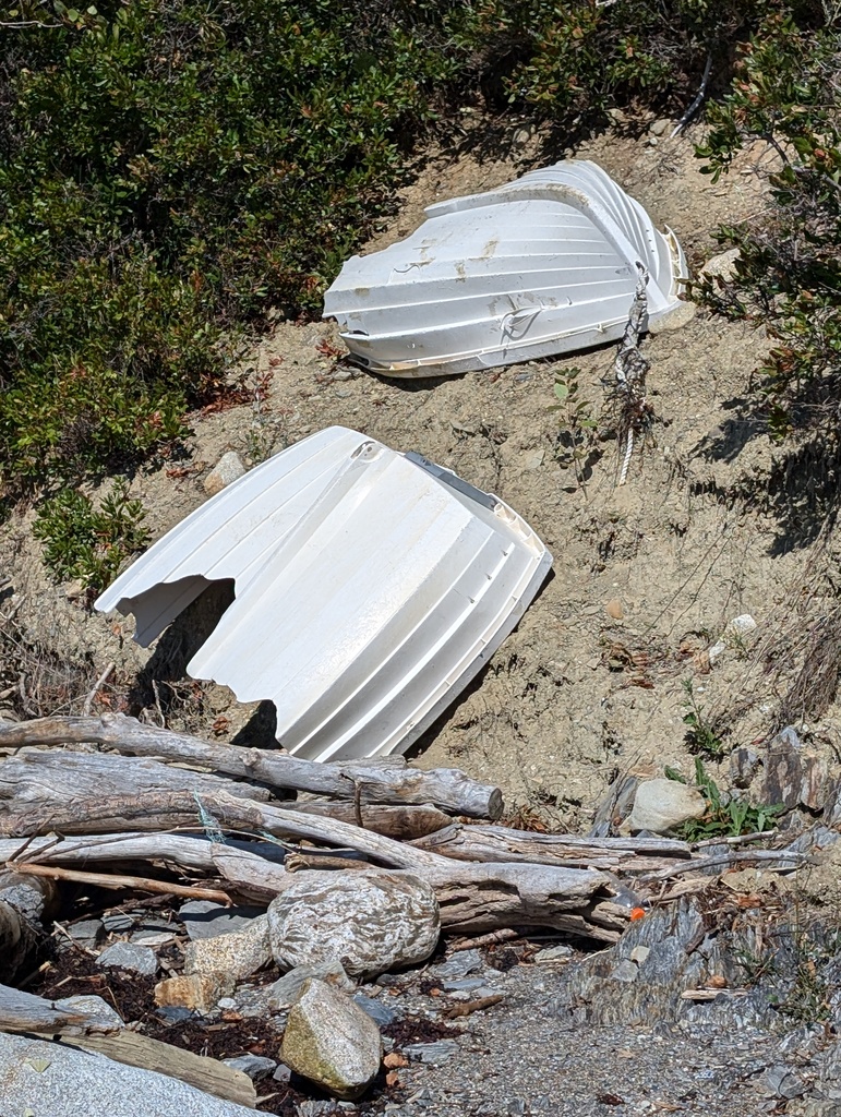 No description provided for: /2024/07-09/0909-turtle-head-sail/_1/photo06.html