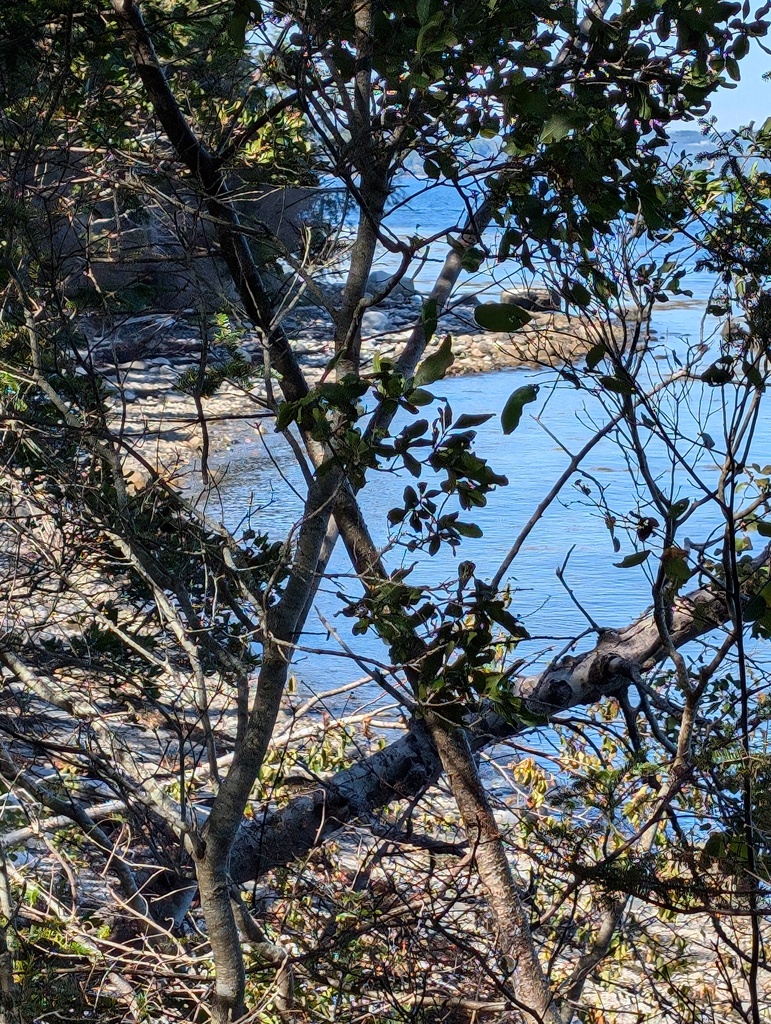 No description provided for: /2024/07-09/0909-turtle-head-sail/_1/photo10.html