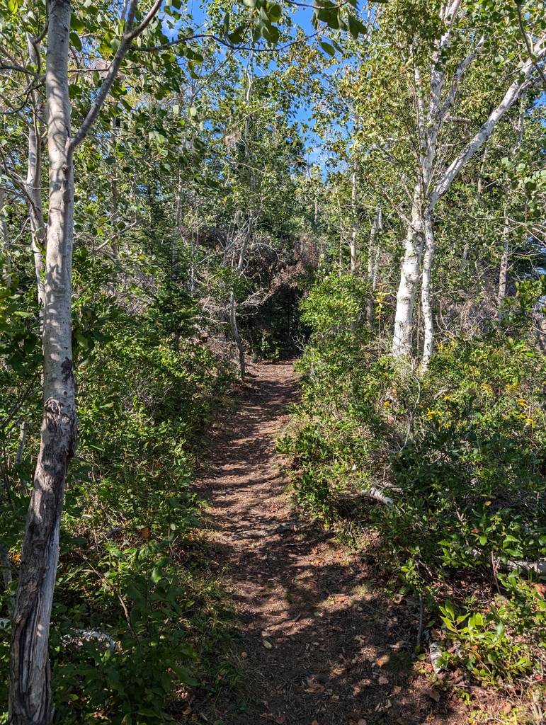 No description provided for: /2024/07-09/0909-turtle-head-sail/_1/photo11.html