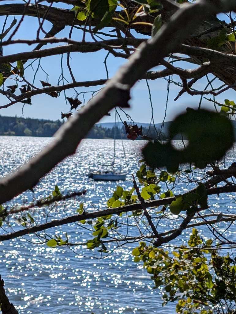 No description provided for: /2024/07-09/0909-turtle-head-sail/_1/photo12.html