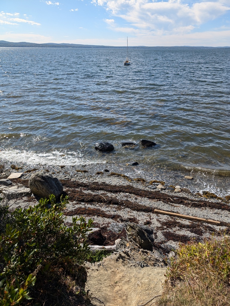 No description provided for: /2024/07-09/0909-turtle-head-sail/_2/photo14.html