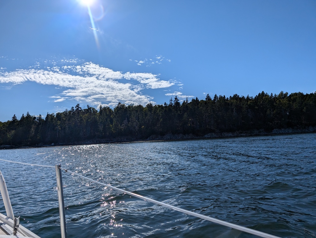 No description provided for: /2024/07-09/0909-turtle-head-sail/_2/photo18.html