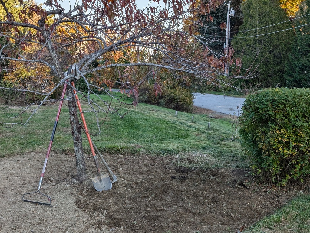 No description provided for: /2024/10-12/1018-yard/photo04.html