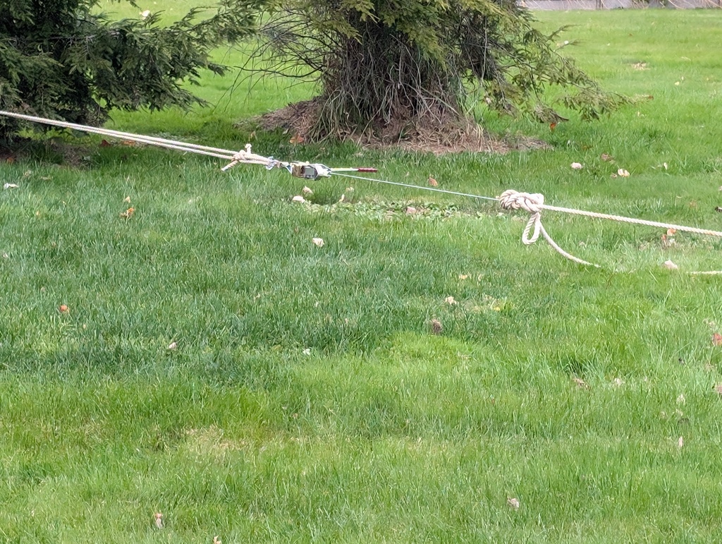 No description provided for: /2024/10-12/1027-fir-tree/photo05.html